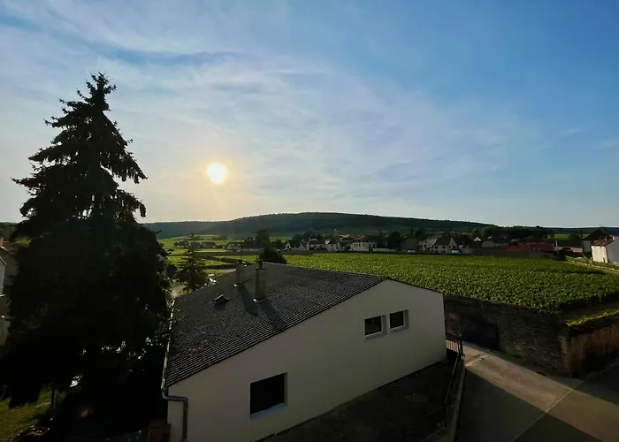 La Maison Pinot Noir